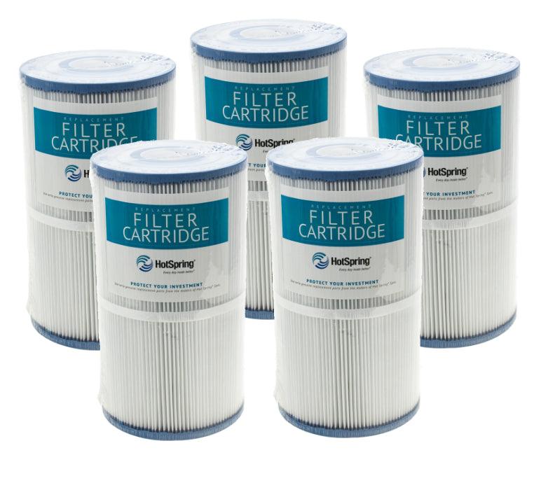 Hotspring spa filter