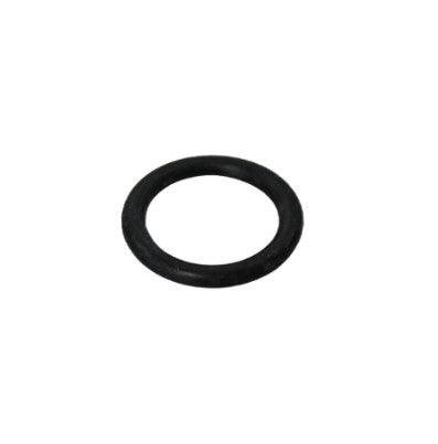 Hotspring spa o ring temperatuursensor