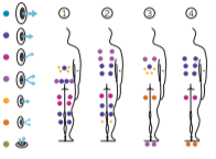 Aquavia SwimSpa Fitness