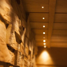 Cariitti Glasvezel Sauna Ceiling sets